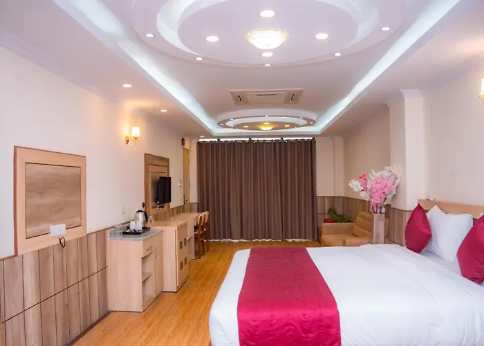 Hotel Drishya 3*
