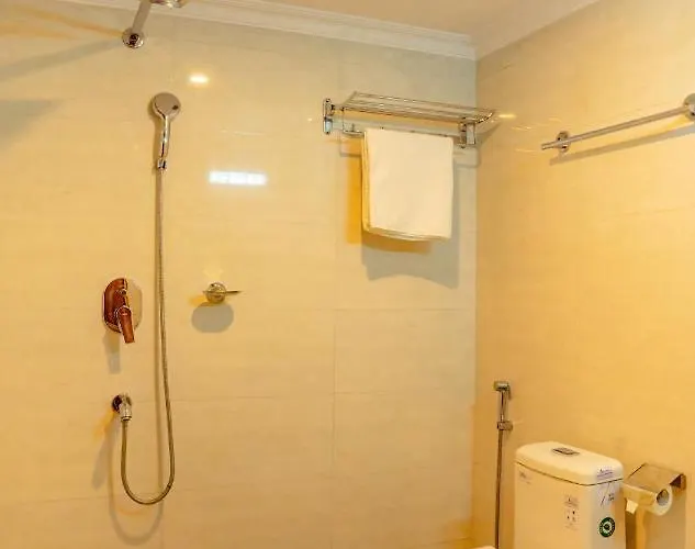 Drishya Hotel 3*