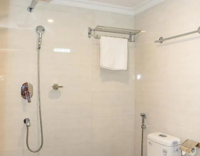 Hotel Drishya 3*