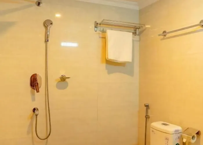 Hotel Drishya 3*